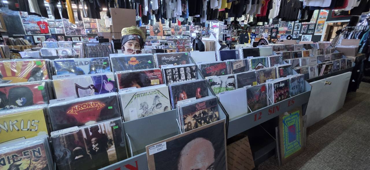 Vinyl records filling the bins at The Freak in Bedford